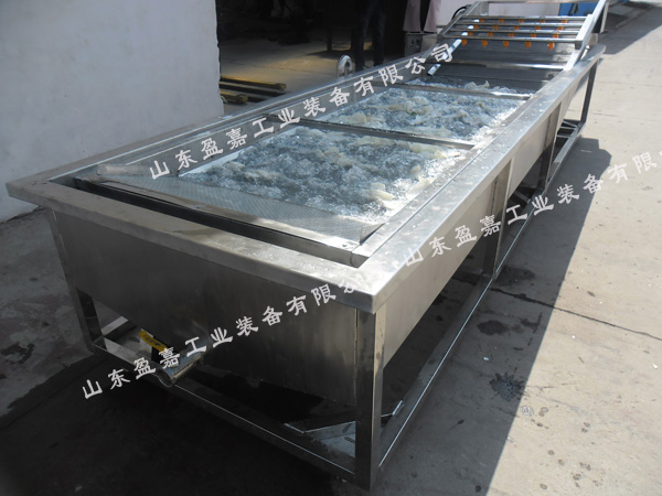 連續(xù)式蘑菇鼓泡清洗機(jī)，支持加工定制